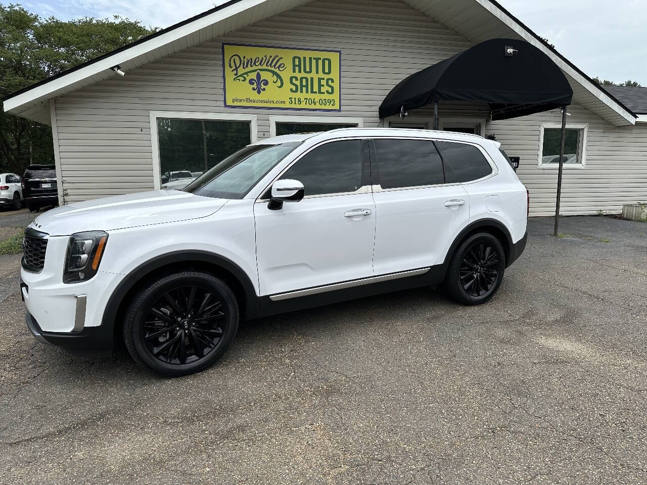 2021 Kia Telluride SX - Image 3