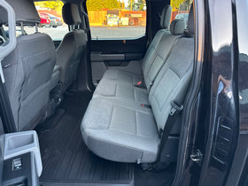 2024 Ford F-150 XLT - Image 4