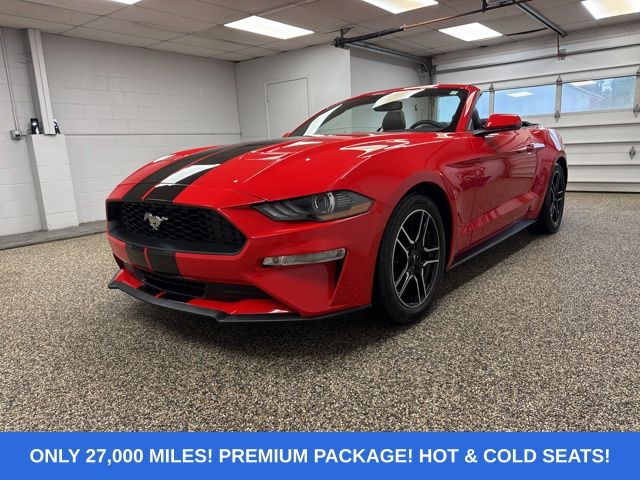 2019 Ford Mustang EcoBoost Convertible Premium's photo