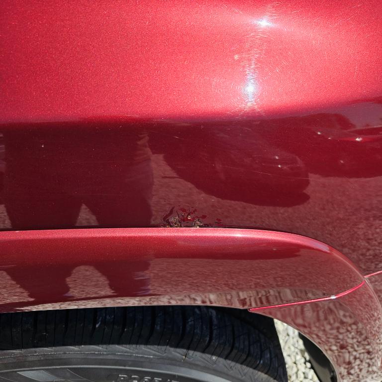 2010 Toyota 4Runner Trail - Photo 25