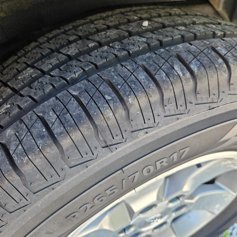2010 Toyota 4Runner Trail - Photo 31