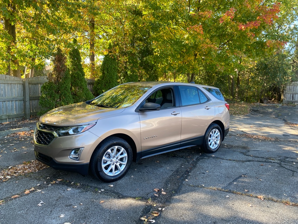 2019 Chevrolet Equinox LS - Main Image