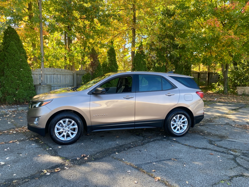 2019 Chevrolet Equinox LS - Image 2